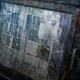 Illustration for article titled What Would Happen if Humans Were Gone, Illustrated by emThe Last of Us/em